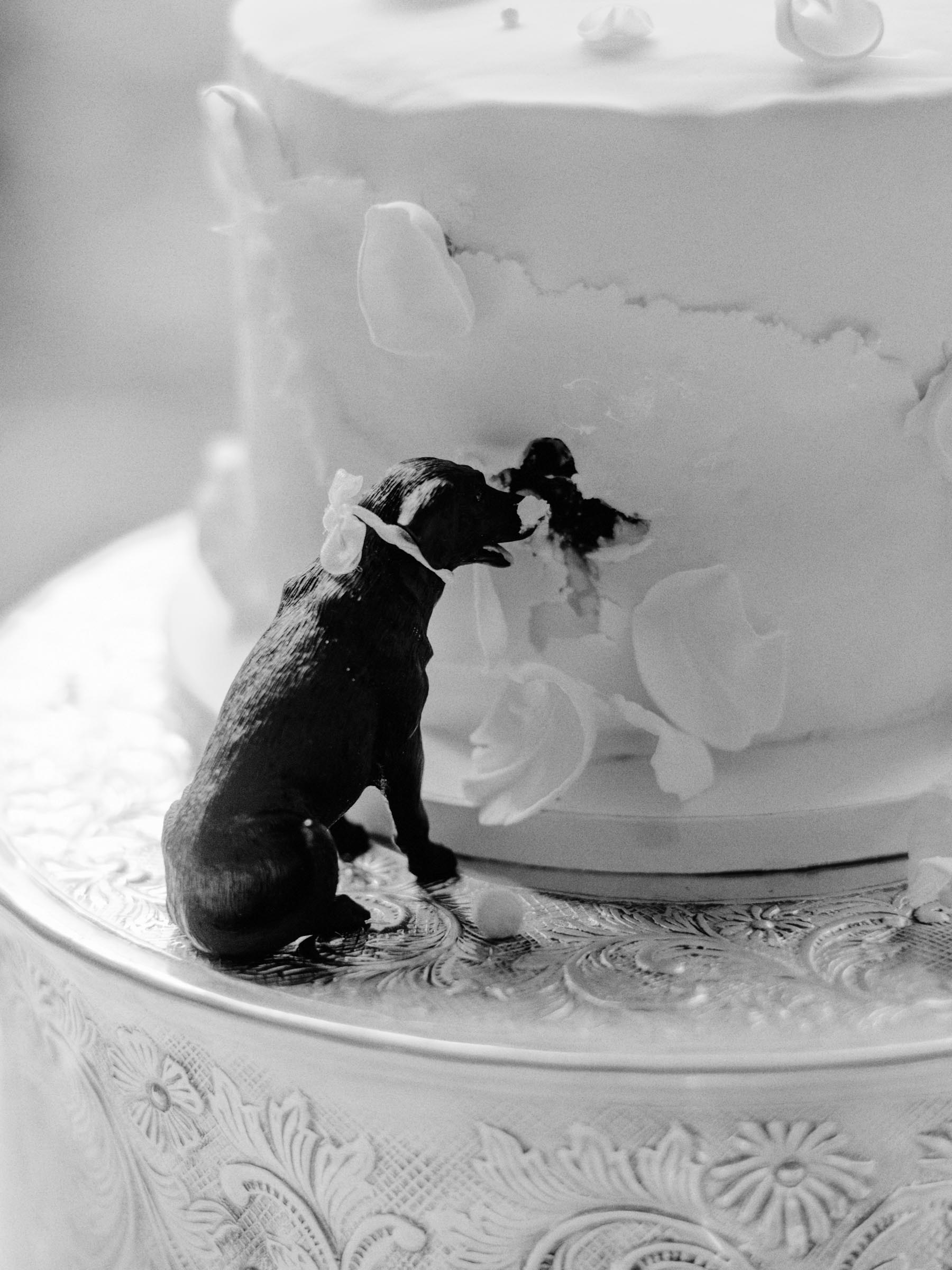 Ileana and Chris wedding photo 84